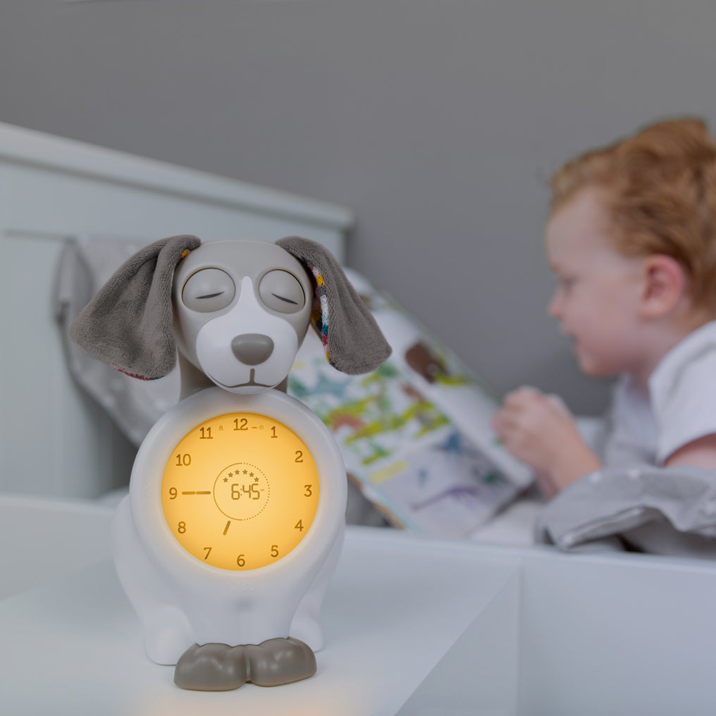 Accompagnateur de sommeil enfant veilleuse éducative Davy