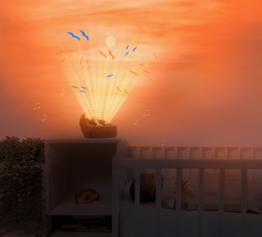 Projecteur bébé hérisson veilleuse coucher de soleil avec sons